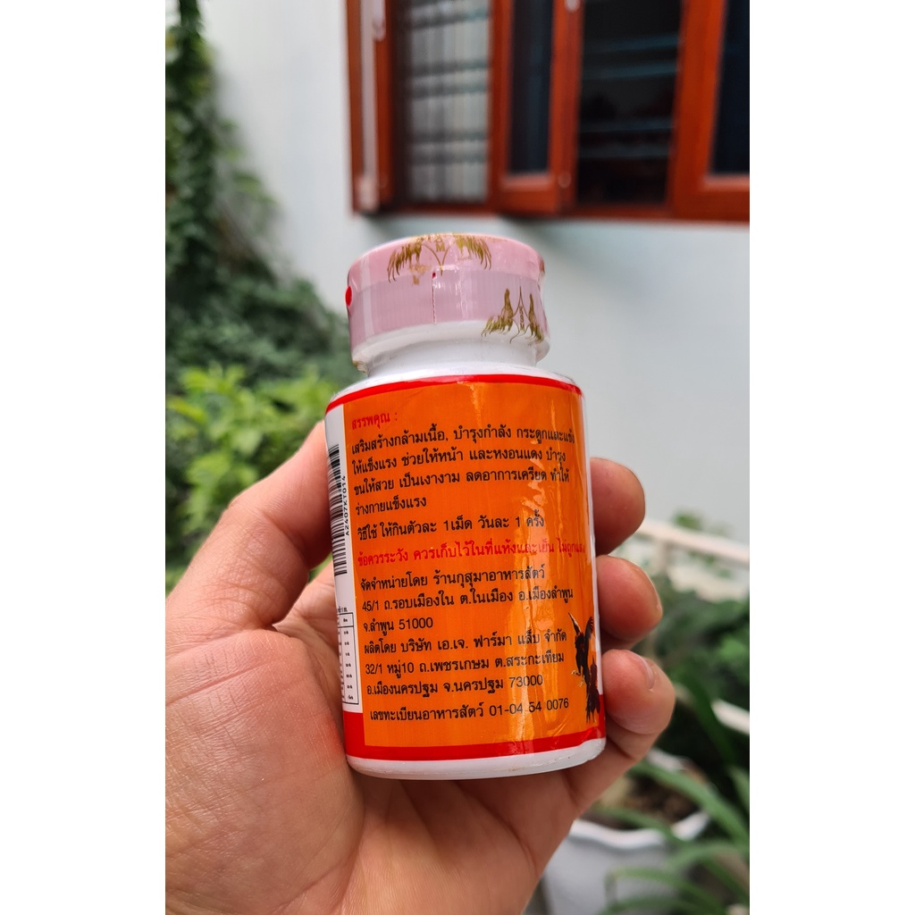 SUPER STAR: Viên bổ gân gối cho gà đá - Viên bổ gân gối đỏ dành cho gà đá - bổ gân, cứng xương - 1 Lọ 100 viên
