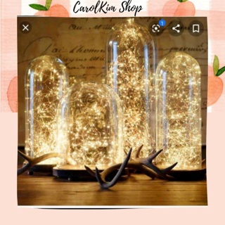 Dây đèn Led đom đóm Fairy Light 2 mét kèm pin-màu vàng nắng