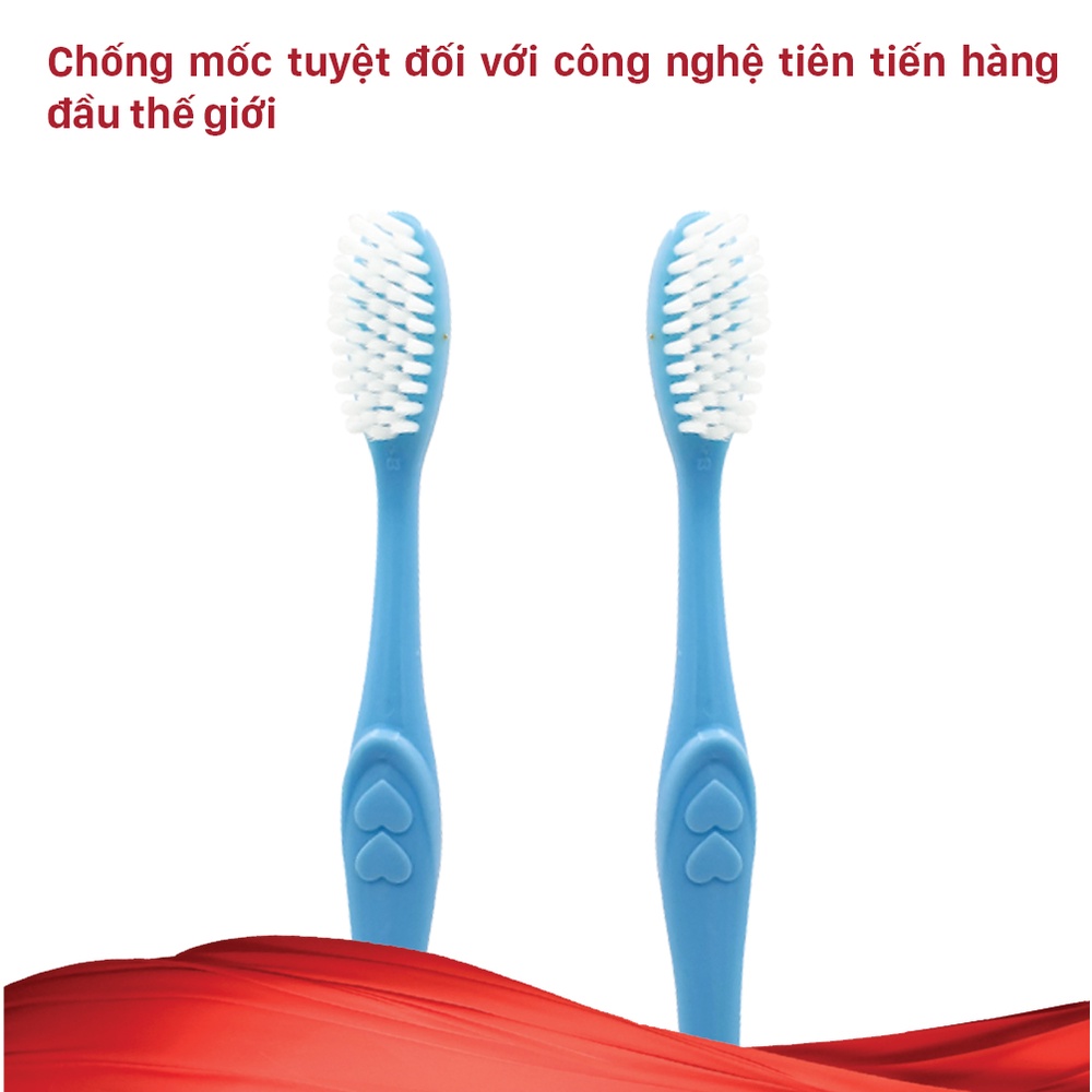 Combo 03 Bàn Chải Đánh Răng Lipzo Maxcare Dành Cho Người Lớn Công Nghệ Lông Chỉ Tơ Nha Khoa Mảnh Siêu Bền