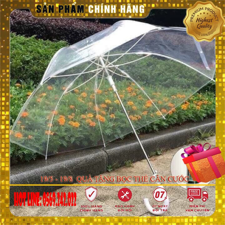 Ô Trong Suốt Đi Mưa