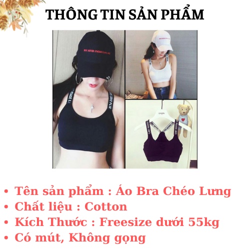 Áo Bra Nữ Thể Thao - Bra Tập Gym Cotton Co Dãn - Áo Ngực Mút Mỏng  AMY BRA B1102