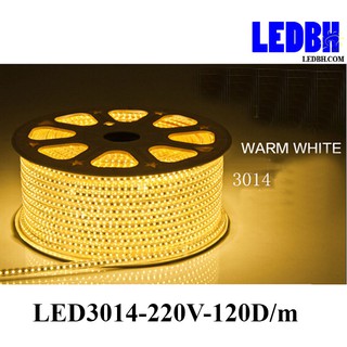 1m Đèn led dây 3014 Vàng nắng 220V cuộn 100m loại có 120 mắt led màu  – Home-3014-120D/M-WW
