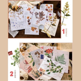 Background stickers nhãn dán Tả Bí Lù Store