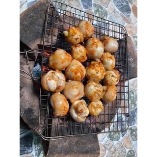 Răng mực size lớn loại 1