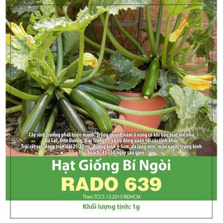 Hạt Giống Bí Ngòi Xanh Rado 639 Gói 1g Rạng Đông