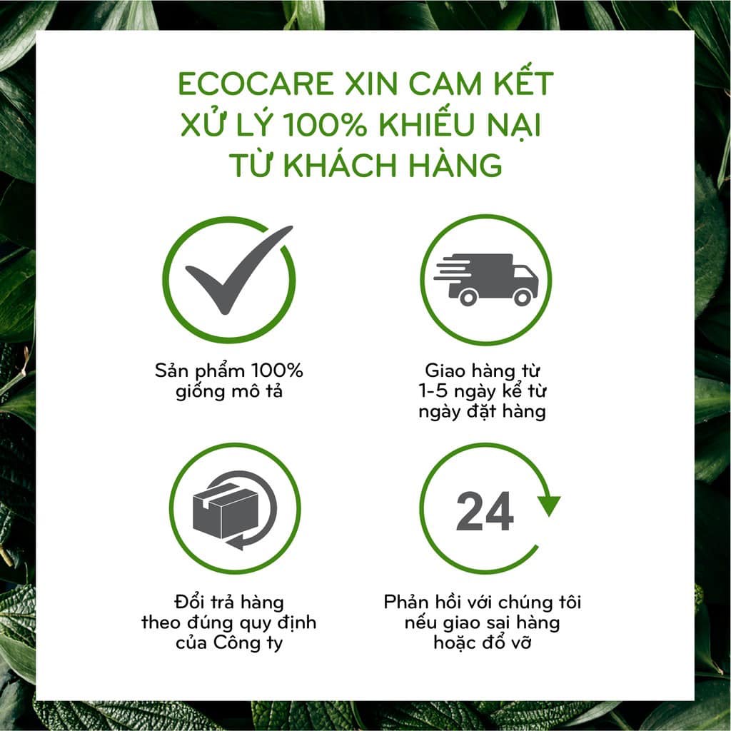 2Lit Dầu rửa bát, rửa bình sữa Bồ Hòn Ecocare gốc thực vật