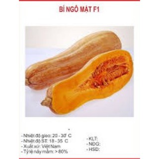 Hạt giống bí ngô mật f1