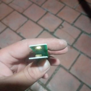 Cò bóp phíp thủy tinh