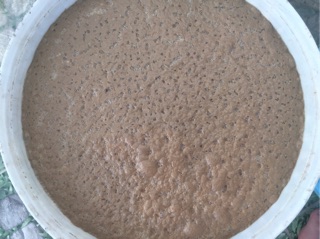 Chế phẩm EM gốc dạng bột