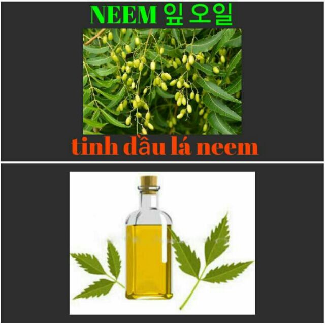 Tinh dầu lá neem (50ml)