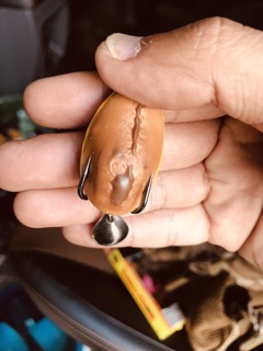 Mồi giả Frogtun V1