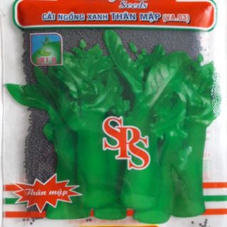 Hạt giống cải ngồng xanh thân mập(20gram), dễ trồng, dễ chăm sóc, ngắn ngày