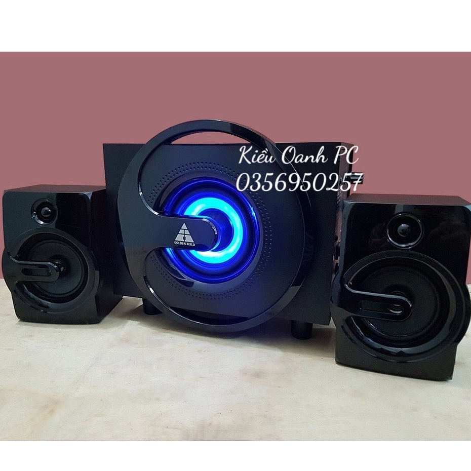 Loa máy tính Golden Field H302 - Hàng Chính hãng Bảo hành 24 tháng