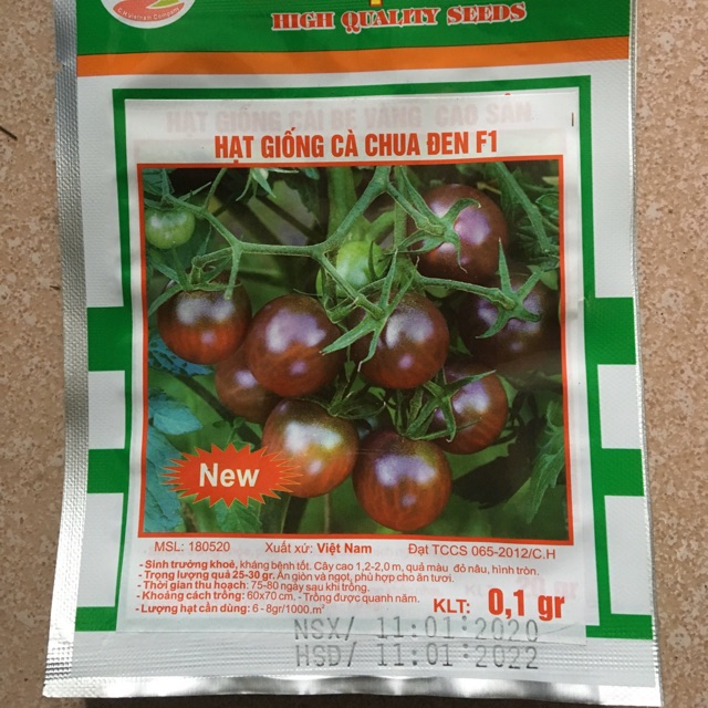 HẠT GIỐNG CÀ CHUA ĐEN F1