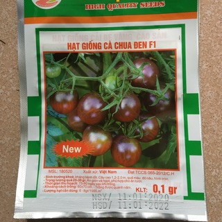 HẠT GIỐNG CÀ CHUA ĐEN F1