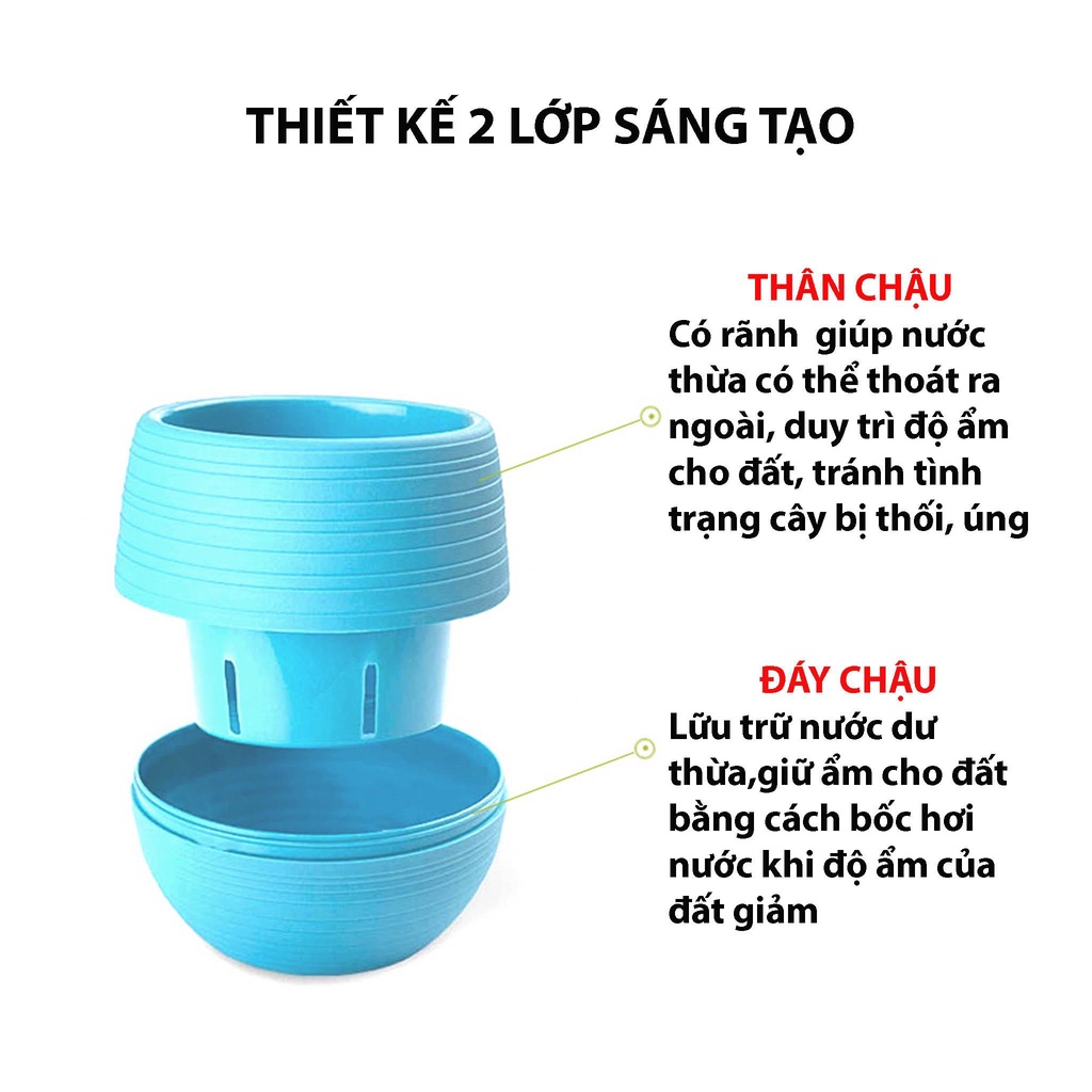 Chậu trồng cây sen đá mini có đáy trữ nước - Trồng sen đá, xương rồng tuyệt đẹp - Chưa bao gồm cây