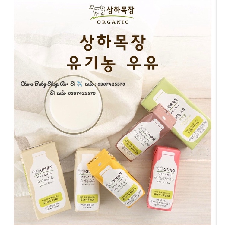 (Date t8-t9/2022 lốc 4 hộp) Sữa tươi organic Sanghafarm - Hàn Quốc lốc 4 hộp x125ml date 3/2022