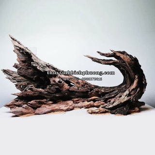 1 KG LŨA SẦM LŨA SĂN ĐÁ - LŨA SẦM ĐỎ CHUYÊN DỤNG THIẾT KẾ HỒ THUỶ SINH