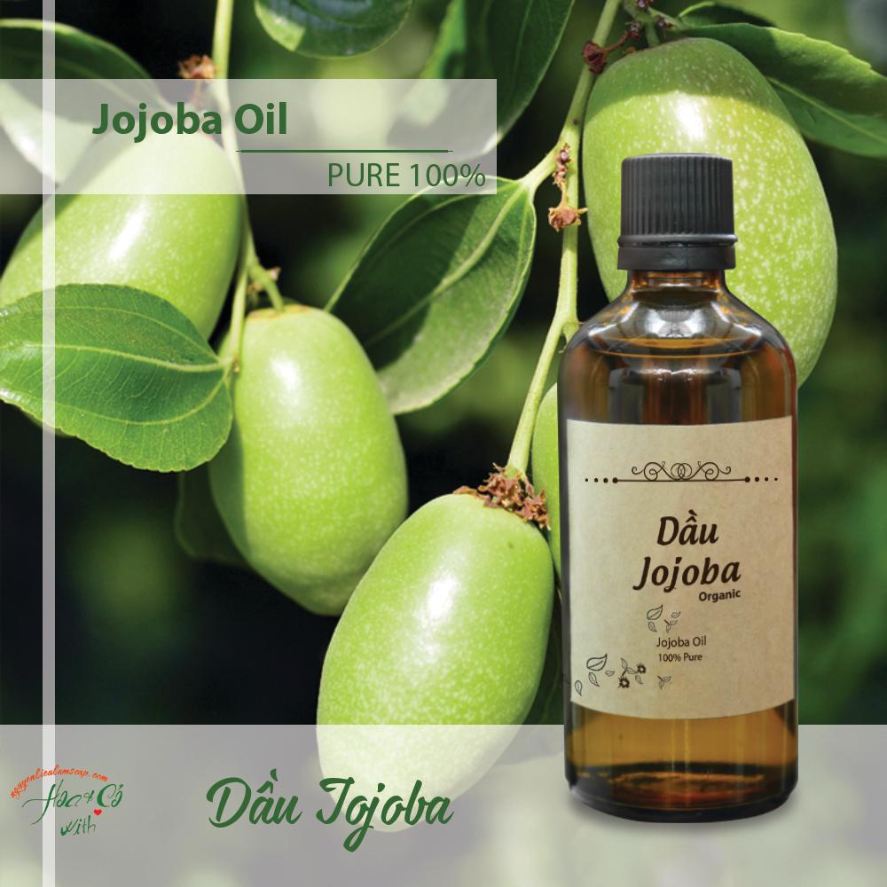 DẦU JOJOBA HỮU CƠ (ORGANIC JOJOBA OIL)