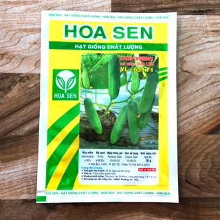 Hạt giống dưa leo Hoa Sen VL-639 F1 - Gói 10g