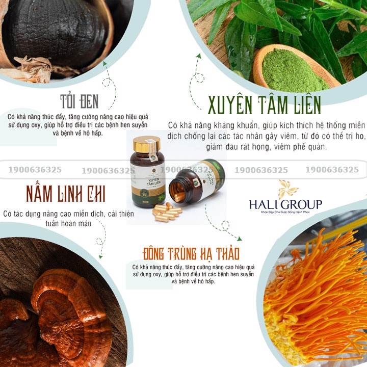 Viên Uống Bổ Phổi Xuyên Tâm Liên Kim Cương Vàng - Hộp 30 Viên