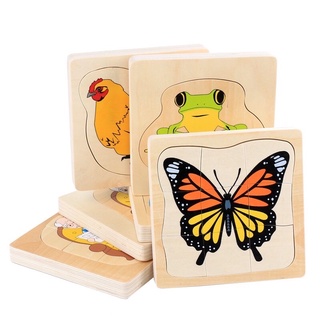 Vòng đời giáo cụ montessori, Ghép Hình Vòng Đời Sinh Học