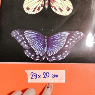 Sticker ủi,patch ủi, hình ủi 3 con bướm