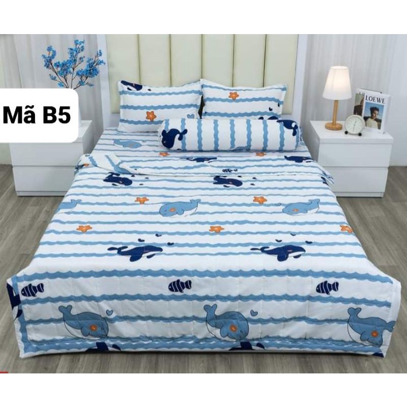 Bộ 5 món cotton boly mẫu mã đa dạng đủ kích thước