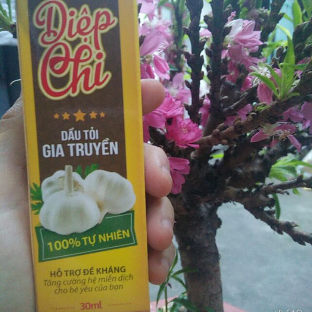 Dầu Tỏi Diệp Chi sỉ