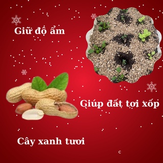 10kg vỏ lạc (vỏ đậu phộng) giá 70k/bao 10kg