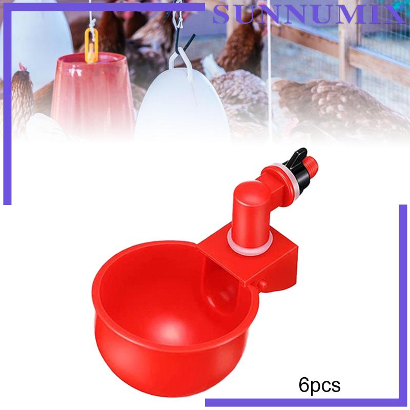 Set 6 Cốc Uống Nước Tự Động Cho Gà Tiện Dụng