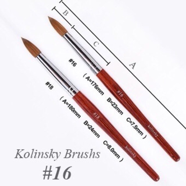 Cọ Đắp Bột Nail Size 12 &gt; 16 Kolinsky Germany Cán Gỗ Đã Bấm Đầu