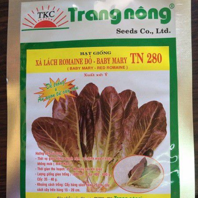 Xà Lách Romaine đỏ (1gr)