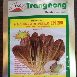 Xà Lách Romaine đỏ