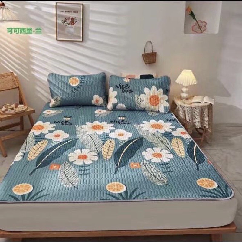 CHIẾU ĐIỀU HÒA TENCEL LATEX CAO SU NON in 3D siêu mát tặng kèm 2 vỏ gối | BigBuy360 - bigbuy360.vn