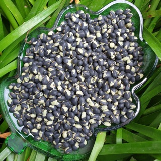 Đậu đen xanh lòng truyền thống 500gr