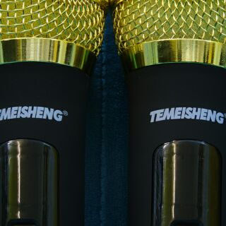 Bộ MICRO Không Dây Chính Hãng TEMEISHENG