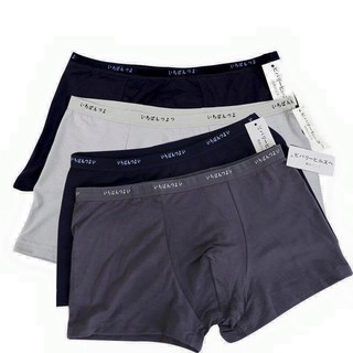 Quần lót nam đùi  , quần lót nam tam giác cotton trơn cao cấp set hai chiếc