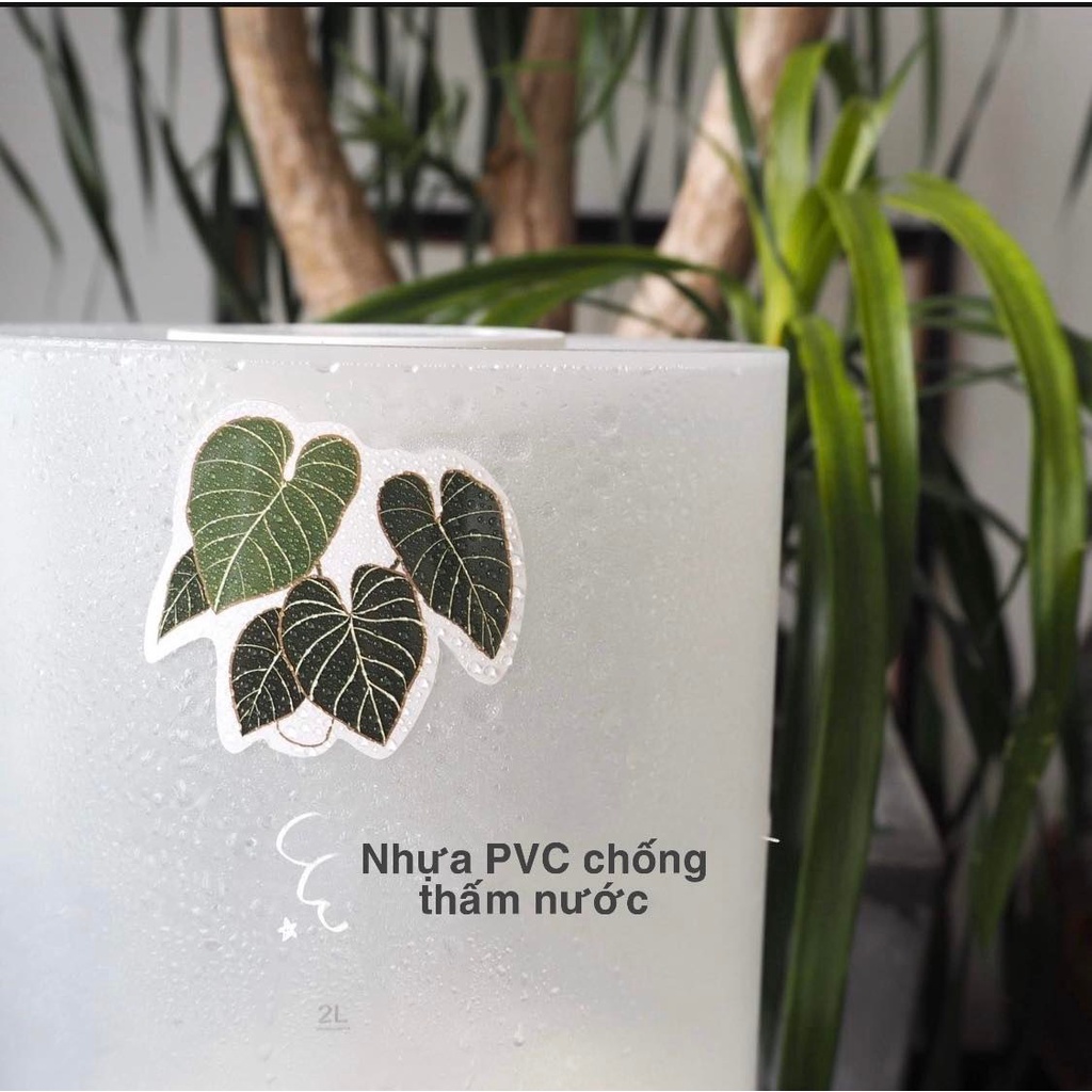 Sticker dán hình kiểng lá không thấm nước, sticker dán điện thoại hình kiểng lá monstera, philodendron, anthurium