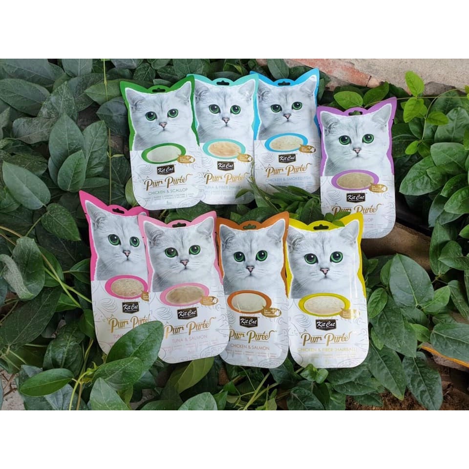 [Chính hãng] Súp thưởng cho mèo Purr Purree Kit Cat 60g