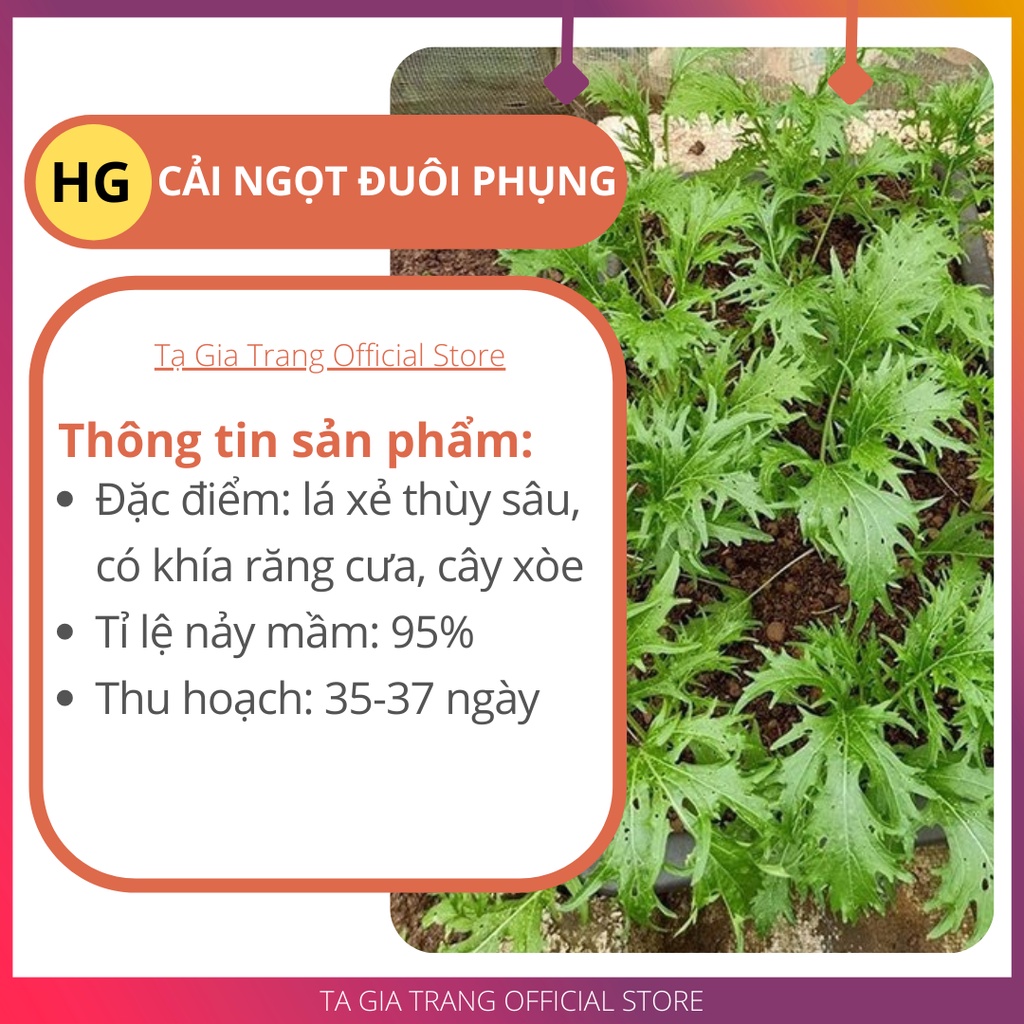 Hạt giống cải ngọt đuôi phụng xanh - Gói 10000/ 5000/ 2000 hạt