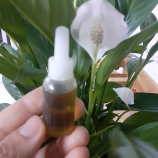 {10ml} Dầu Mù U Nguyên Chất 100% ( nhà làm)