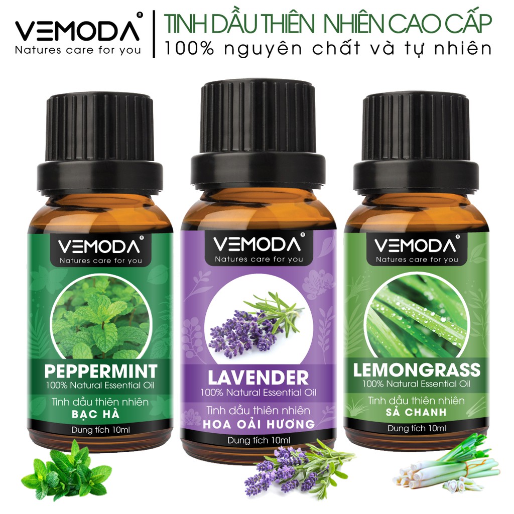[Mã BMBAU50 giảm 7% đơn 99K] Combo 3 lọ tinh dầu xông phòng cao cấp Vemoda gồm: Oải hương, Sả chanh và Bạc hà