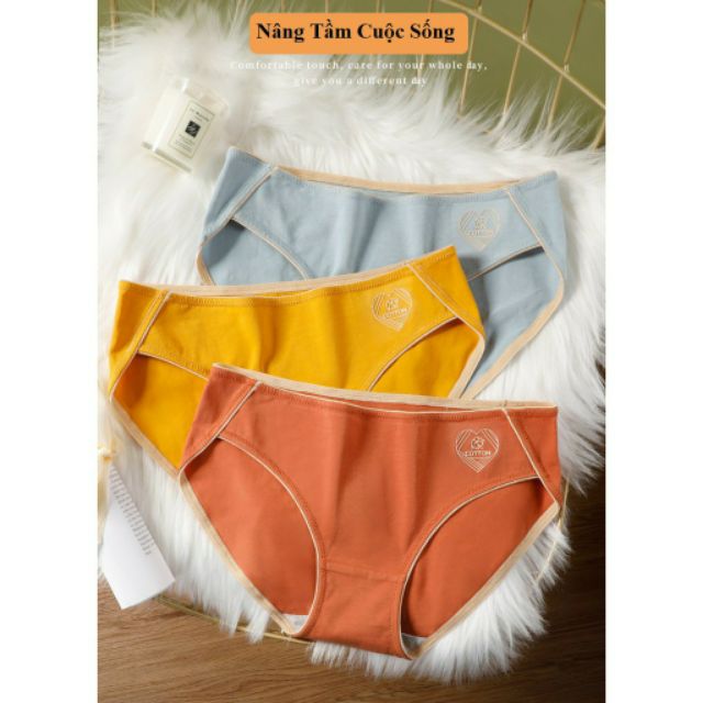 Quần Lót Cotton Sợi Bông Kháng Khuẩn Cao Cấp -CC01 (D)