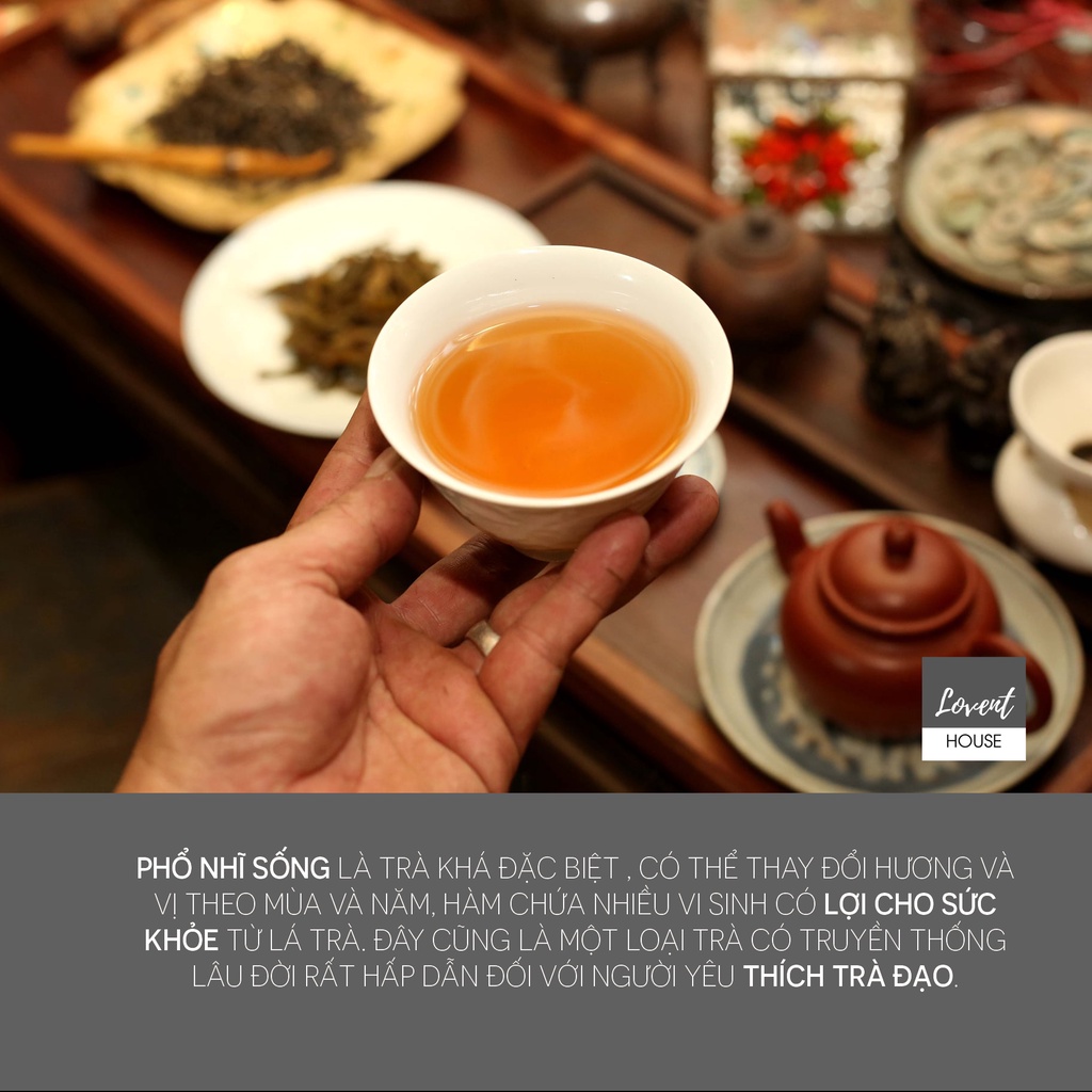 100g SINH TRÀ PHỔ NHĨ CỔ THỤ - trà sống Phổ Nhĩ Lá rời - PUERH -  [Lovent House]