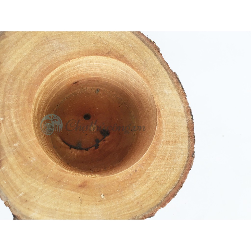 Khúc gỗ tự nhiên làm đế đựng nến, chậu gỗ trồng cây, trang trí, decor, đạo cụ chụp hình 5-7-12cm