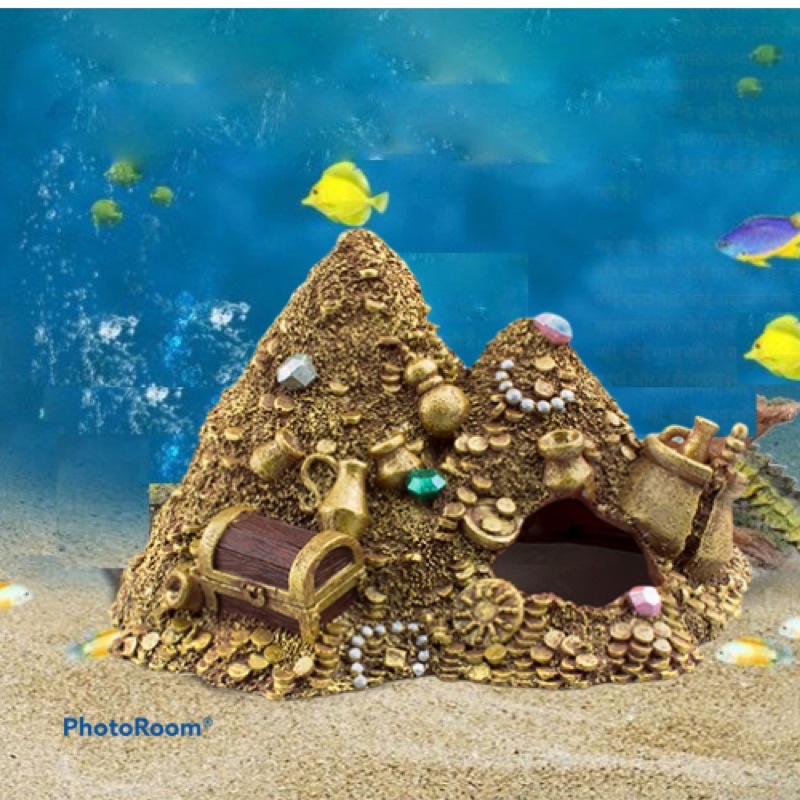 Trang Trí Hồ Cá, Thuỷ Sinh- Kho Báu