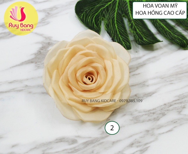 Hoa voan mỹ - hoa hồng cao cấp