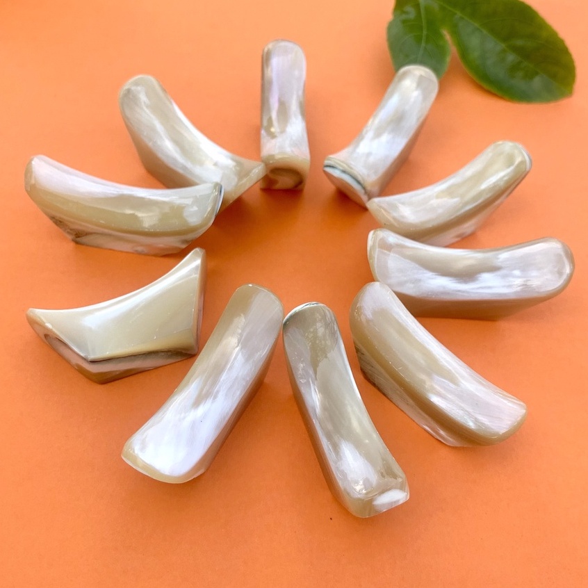 Combo 10 chiếc Gác đũa Thần Tài - bằng ốc biển nhập khẩu từ New Zealand và Úc - CTH747