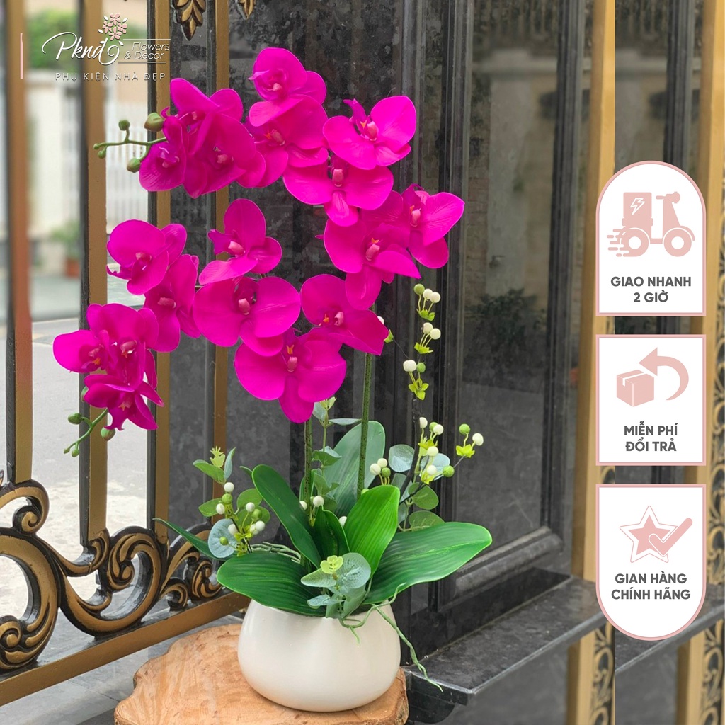 [Mã BMBAU50 giảm 7% đơn 99K] Chậu hoa giả lan hồ điệp chất cao su cao cấp PKND FLOWERS &amp; DECOR